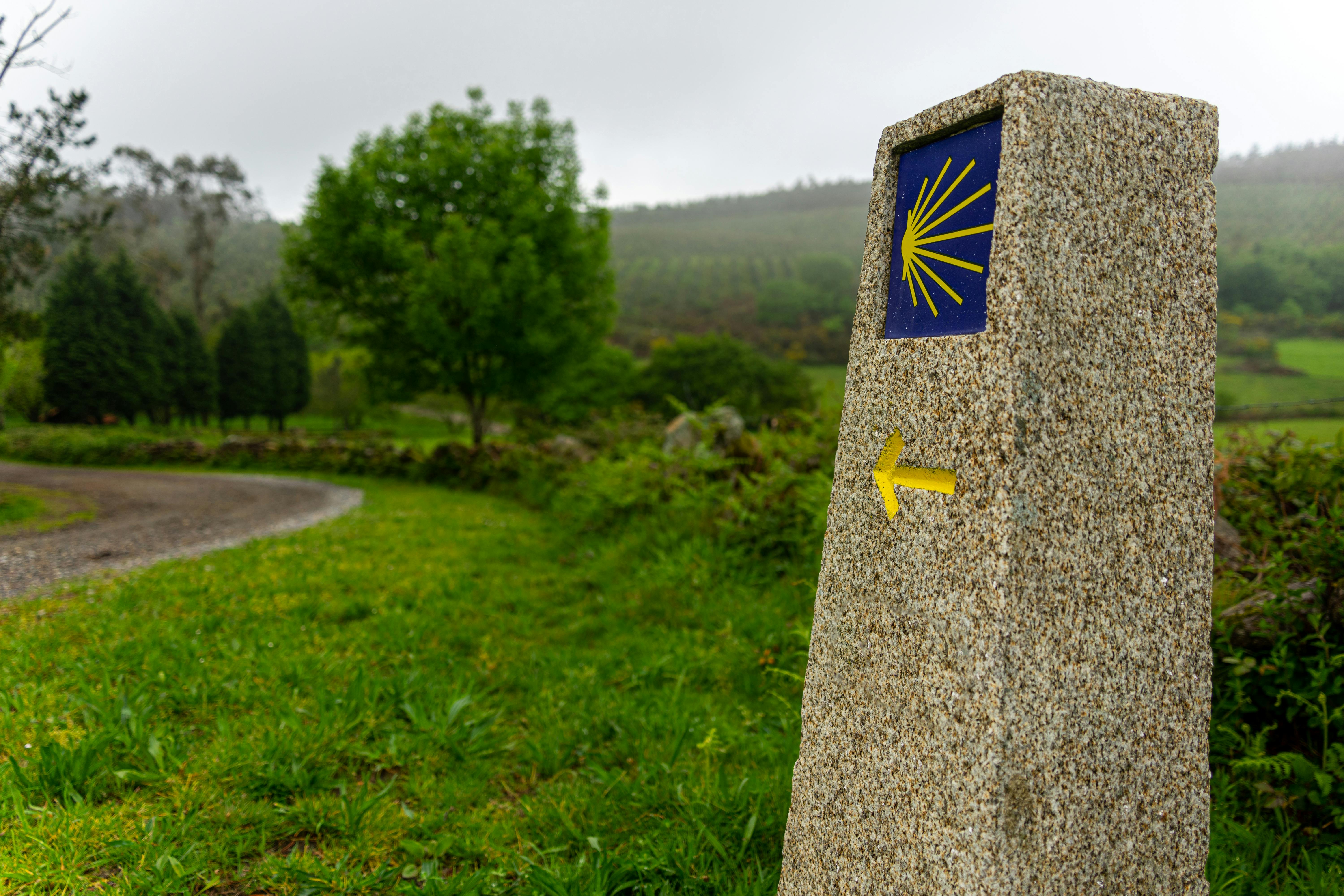 Buenas Tetas: Camino for breast cáncer